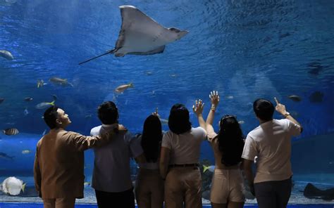 運城海洋館門票多少？深度探索其背后的故事